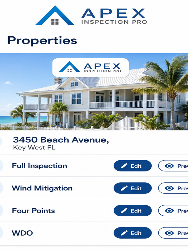 Apex Inspection Pro project preview
